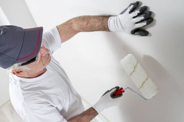 Best Mold Documentation for Insurance Claims  in Emmitsburg, MD
