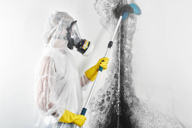 Best Airborne Mold Testing  in Emmitsburg, MD