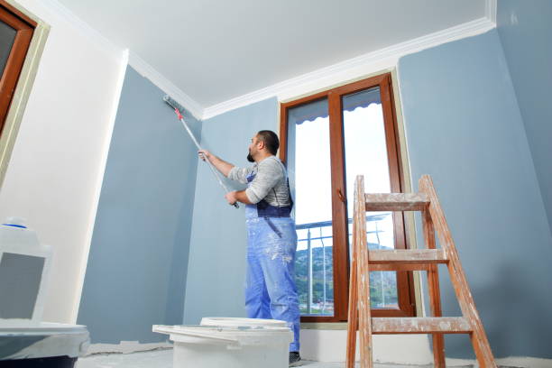 Best Mold Removal for HVAC Installations  in Emmitsburg, MD