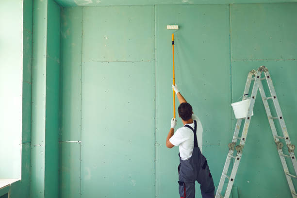 Best Dehumidification Services  in Emmitsburg, MD