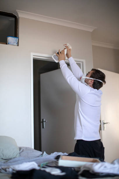 Best Mold Odor Removal Services  in Emmitsburg, MD