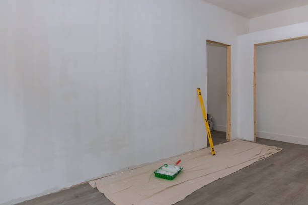 Best Commercial Mold Inspection  in Emmitsburg, MD