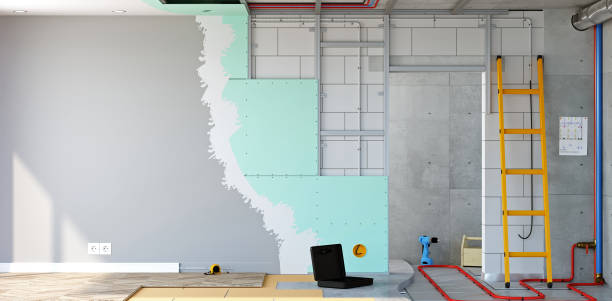Best Mold Damage Restoration  in Emmitsburg, MD