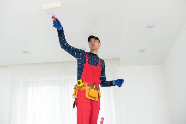 Best Post-Construction Mold Inspection  in Emmitsburg, MD