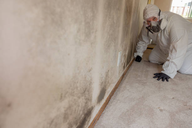 Best Asbestos and Lead Testing During Mold Inspection  in Emmitsburg, MD