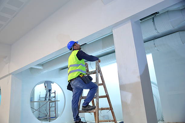 Best Mold Removal for HVAC Installations  in Emmitsburg, MD